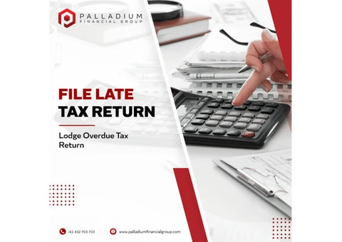 LODGE LATE TAX RETURN WITH AN EXPERT