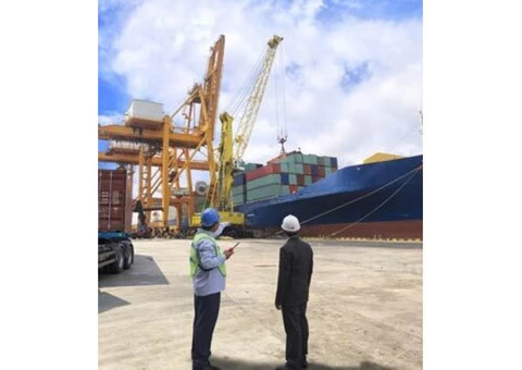 Cronulla Removals for Safe & Secure Move and On Time Delivery - 2/2