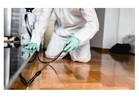 Pest Control Taringa - 6/6