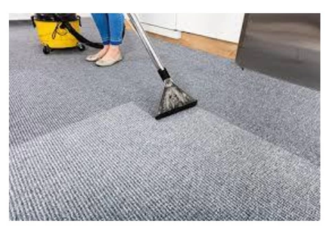 Carpet Cleaning Auchenflower - 3/8