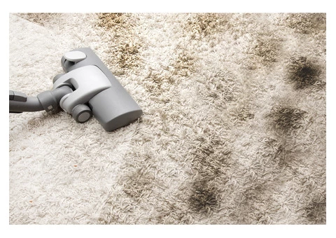 Carpet Cleaning Auchenflower - 6/8