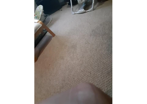 Carpet Cleaning Hawthorne - 2/5