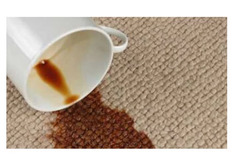 Carpet Cleaning Hawthorne - 3/5