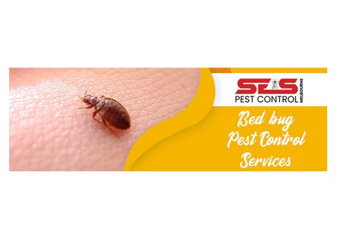 Bed Bug Control Melbourne - 1/3