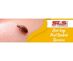 Bed Bug Control Melbourne