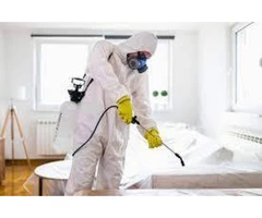 Termite Inspection in Adelaide with Professional team | Quality Assured