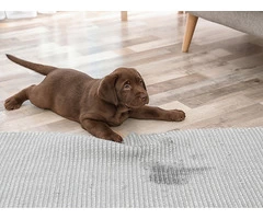 Guaranteed Pet Stain Removal from Carpet by Professionals in Melbourne