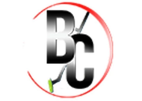 Most Reliable Professional Carpet Cleaners in Melbourne