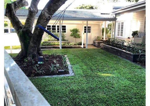 Sir Walter turf - Front yard - 1/8