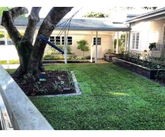 Sir Walter turf - Front yard