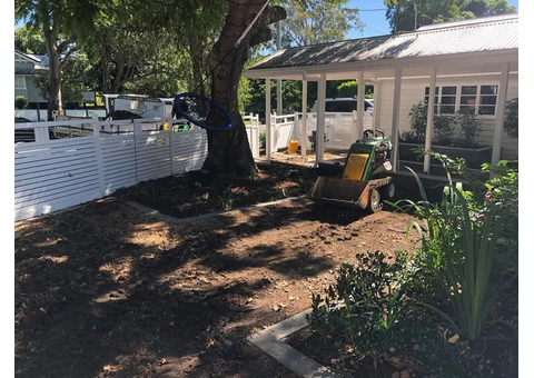 Sir Walter turf - Front yard - 2/8