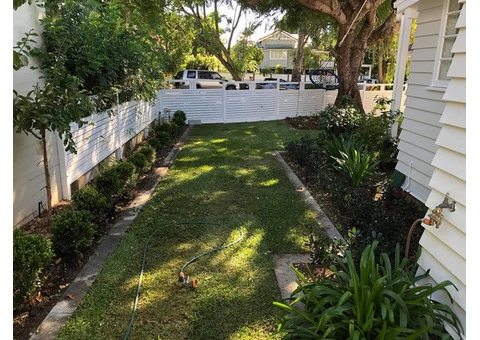 Sir Walter turf - Front yard - 3/8