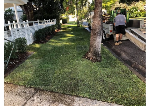 Sir Walter turf - Front yard - 5/8