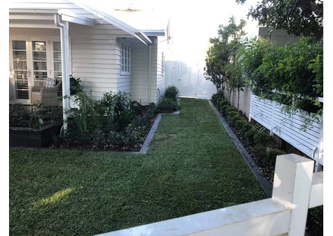 Sir Walter turf - Front yard - 7/8