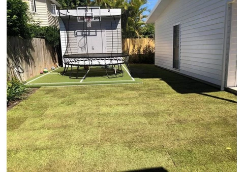 Augusta Zoysia turf - Back yard - 1/8