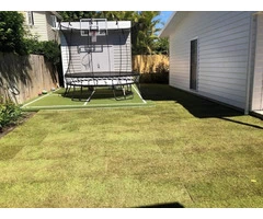 Augusta Zoysia turf - Back yard