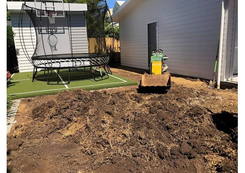 Augusta Zoysia turf - Back yard - 2/8