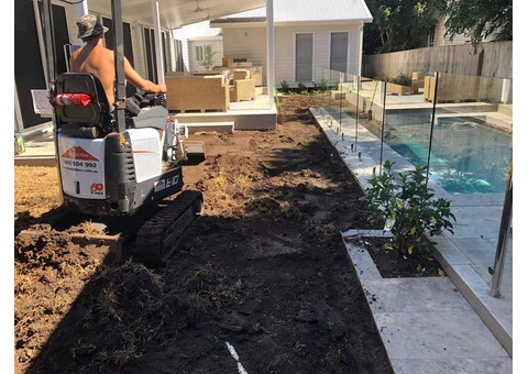 Augusta Zoysia turf - Back yard - 4/8