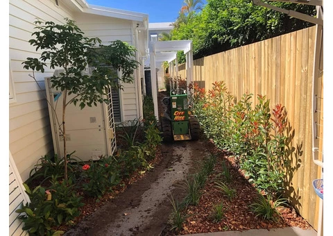 Augusta Zoysia turf - Back yard - 7/8