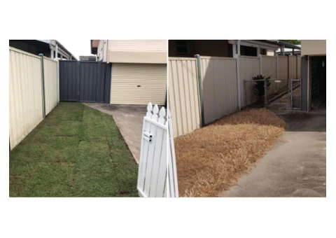 Single Swinging gates with Color Bond Fencing - 2/3