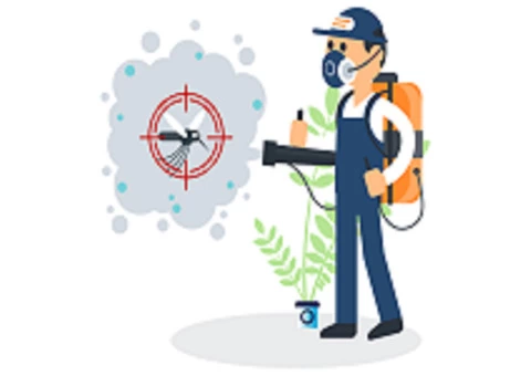 Bed Bug Control Brisbane