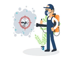 Bed Bug Control Brisbane