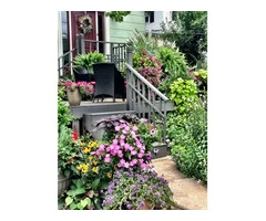 Get the best quality plants for sale in Brisbane from Capalaba Nursery.