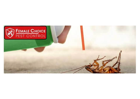 Cockroach Control Brisbane - 2/2