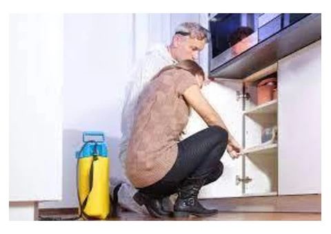 Termite Inspection Adelaide | Inspection As Per Set Australian Standards