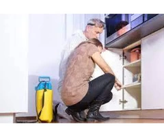 Termite Inspection Adelaide | Inspection As Per Set Australian Standards