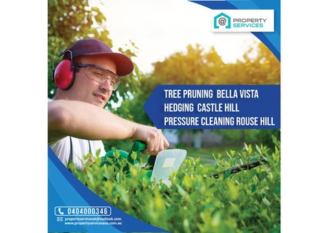 Sign Up For Top-Quality Tree Pruning Services At A Competitive Price