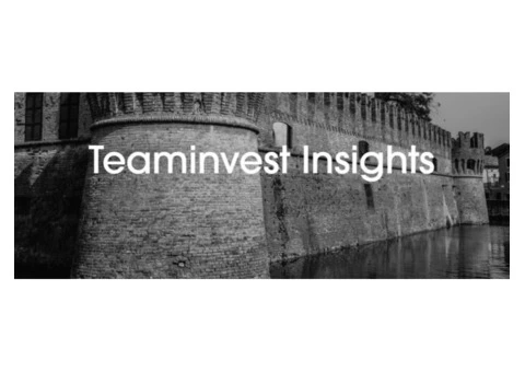 Teaminvest Insights