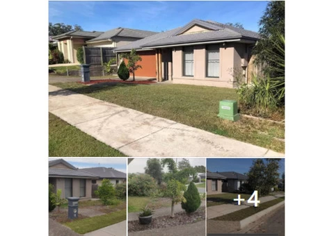 Front yard clearing and turfing - 1/8