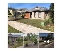 Front yard clearing and turfing