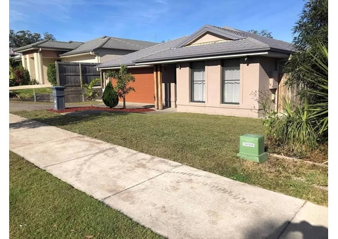 Front yard clearing and turfing - 2/8