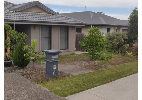 Front yard clearing and turfing - 3/8