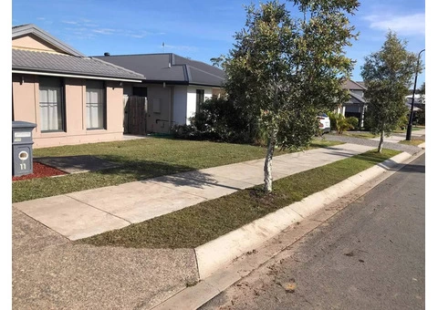 Front yard clearing and turfing - 5/8