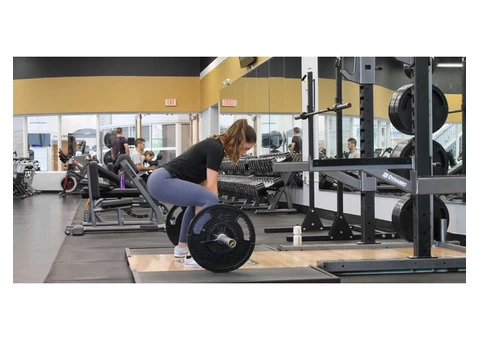 Top‌ ‌4‌ ‌different‌ ‌Weight‌Lifting‌ ‌Equipment!!!‌ ‌