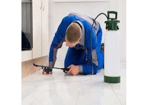 Silverfish Control Canberra