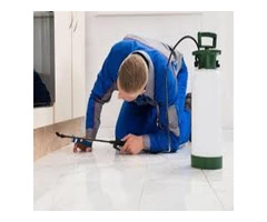 Silverfish Control Canberra