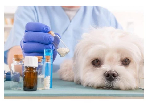 Veterinary Compounding Pharmacy Australia | Compounding Pharmacy For Pets Near Me