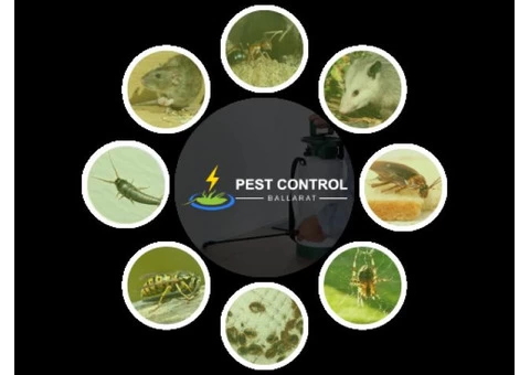 Professional Pest Control Ballarat
