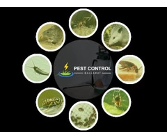 Professional Pest Control Ballarat