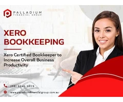 Get our Xero expert for accurate bookkeeping services