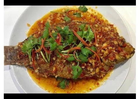 5% Off - Yummy Plus Chinese and Malaysian Restaurant Menu, QLD - 1/4