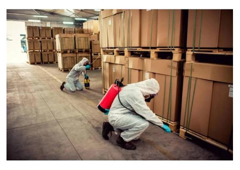 Real Silverfish Control Adelaide