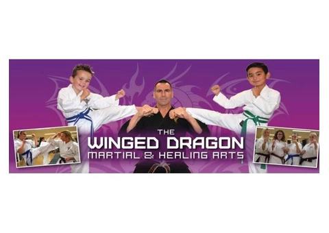 The Winged Dragon provides Kids Karate