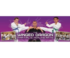 The Winged Dragon provides Kids Karate