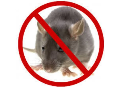 Rodent Control Melbourne