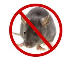 Rodent Control Melbourne